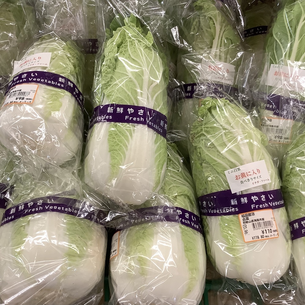 「ミニ白菜」入荷しております！